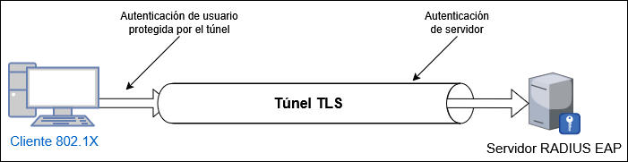 master_cs:secom:diagram1tuneltls.png